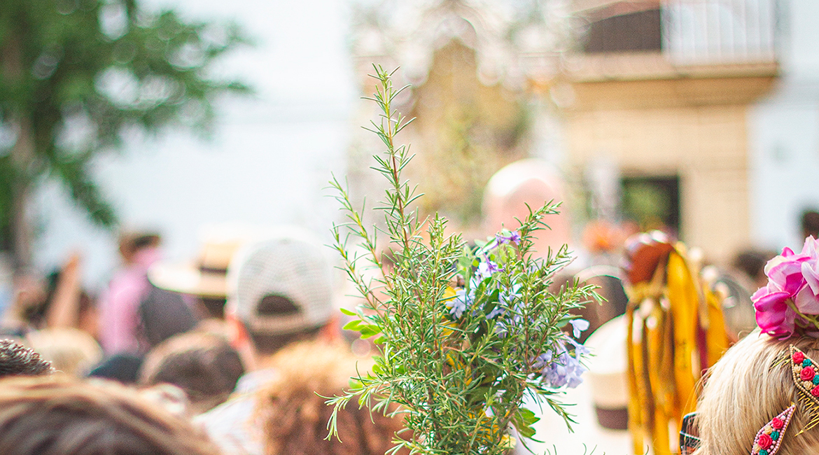 INFORMACIÓN | PARCELAS ALDEA ROMERÍA 2025