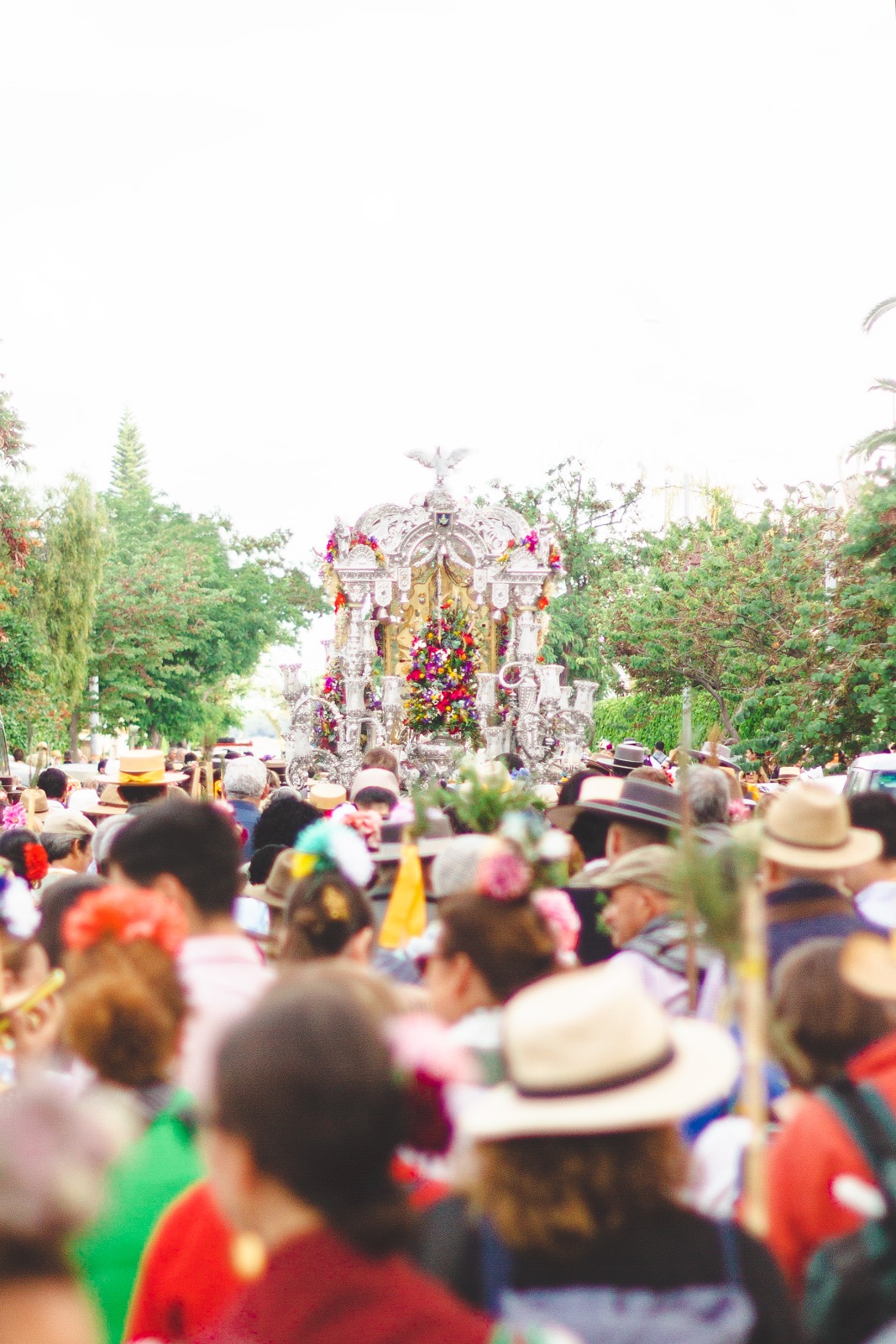 ROMERÍA ROCÍO 2024