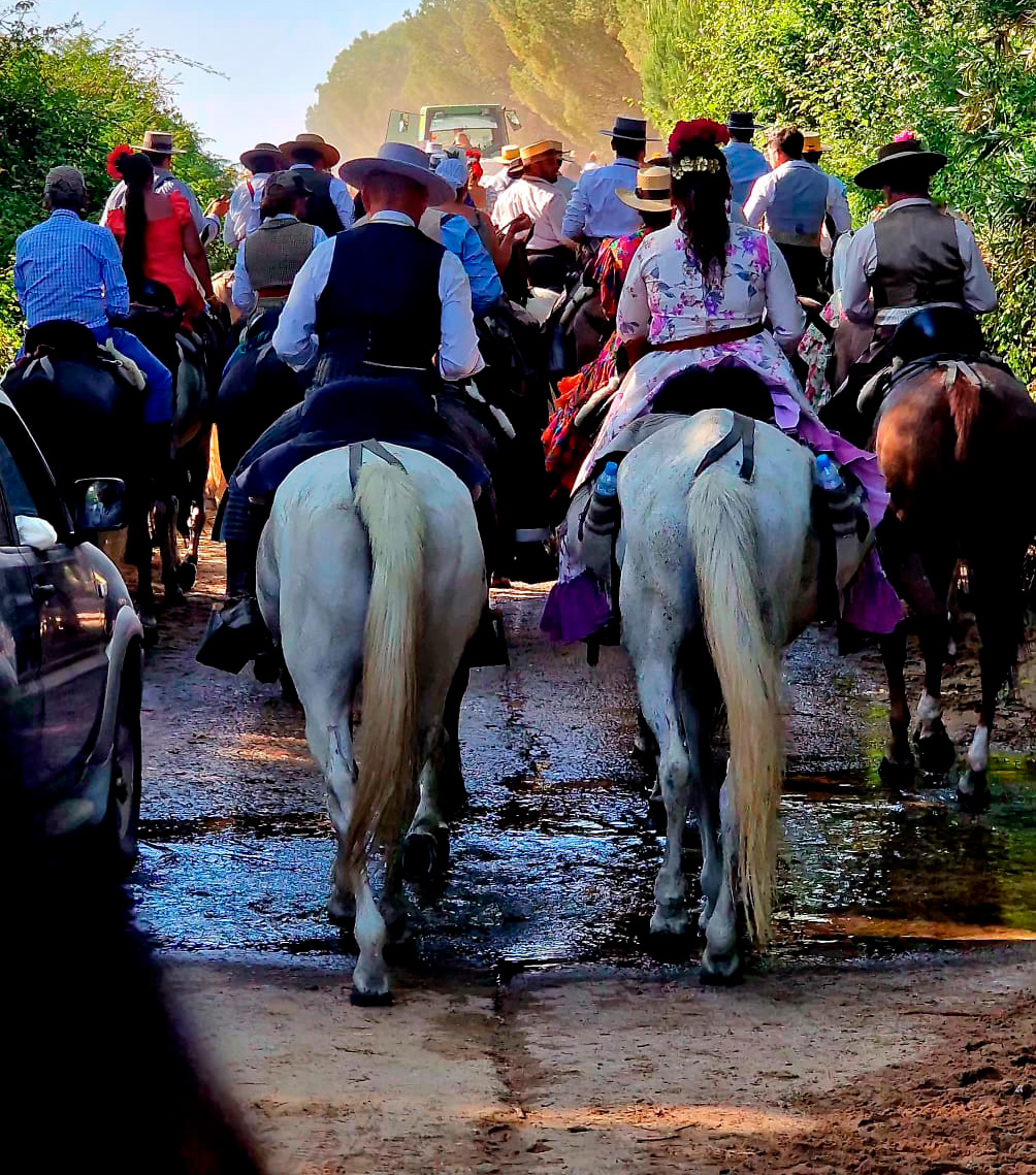 REUNIÓN INFORMATIVA CABALLISTAS